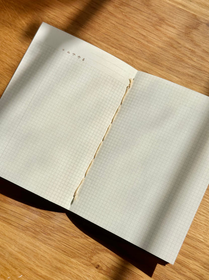 Notebook - Cheep Cheep Star Carrier - Passport Size