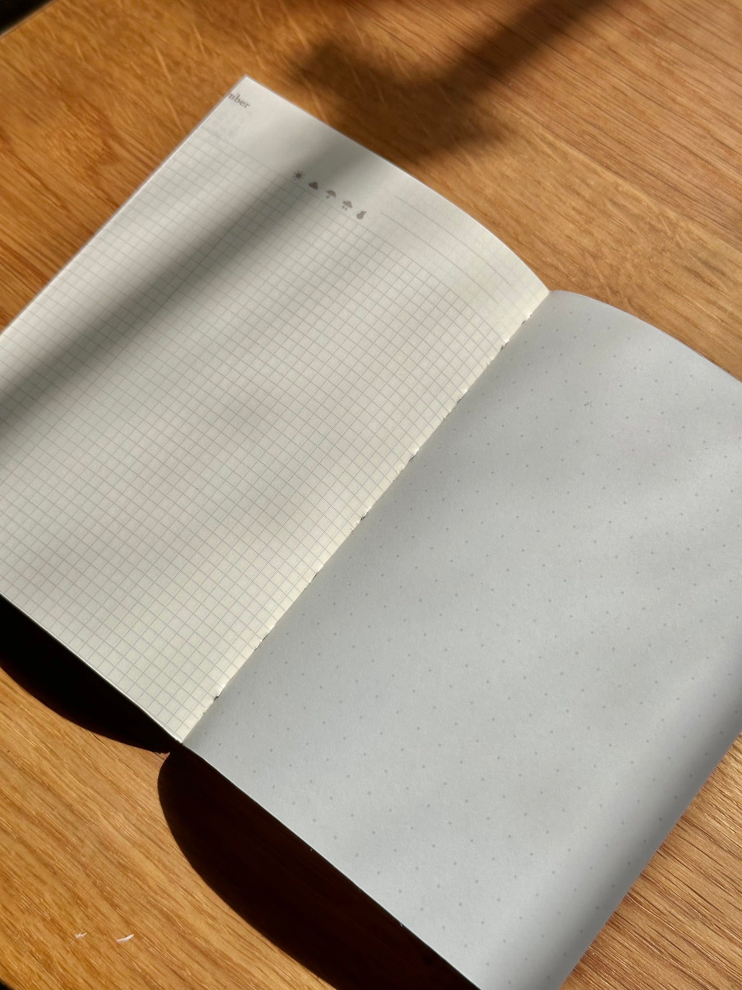 Notebook - Cheep Cheep Star Carrier - Passport Size