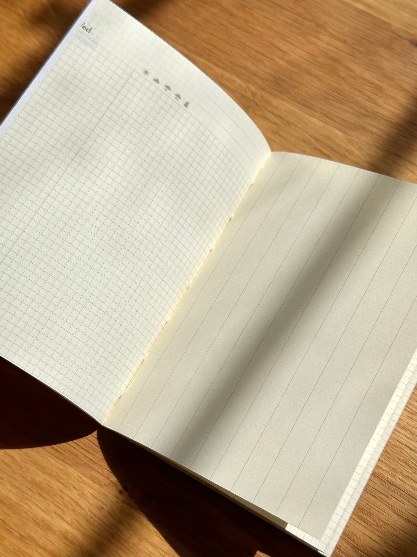 Notebook - Cheep Cheep Star Carrier - Passport Size