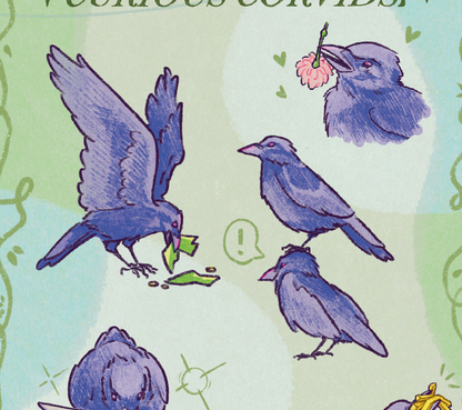 Sticker Sheet - Curious Corvids - Matte Vinyl